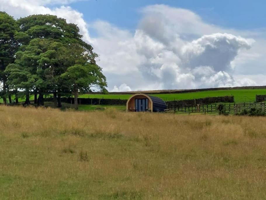 High Whashton Springs Glamping Pod, Richmond Yorks Apartment Ngoại thất bức ảnh